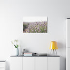 Lavender Field Wall Art – Stretched Canvas