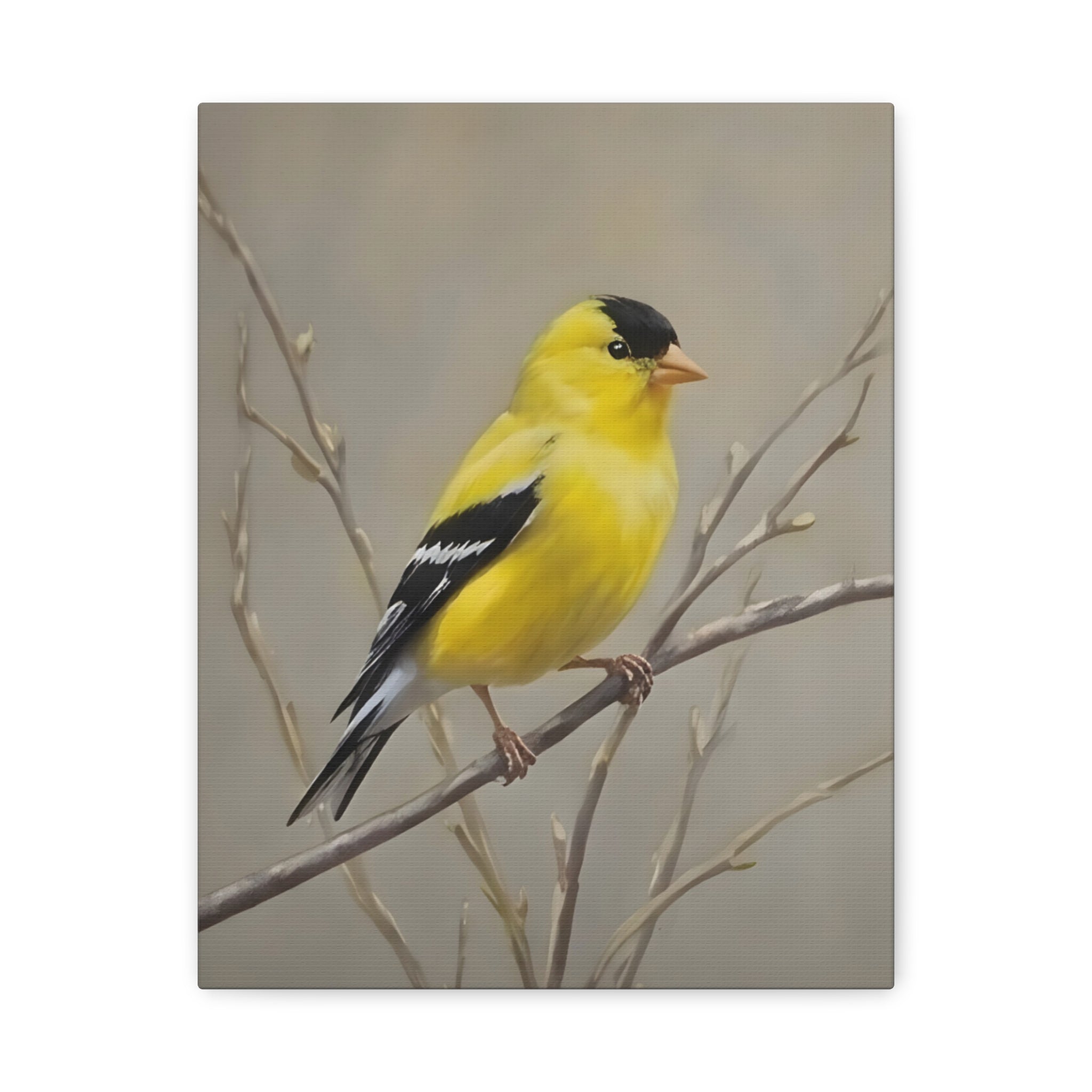 Goldfinch Wall Art Canvas — Yellow Songbird Painting on Branch, Matte Stretched Canvas