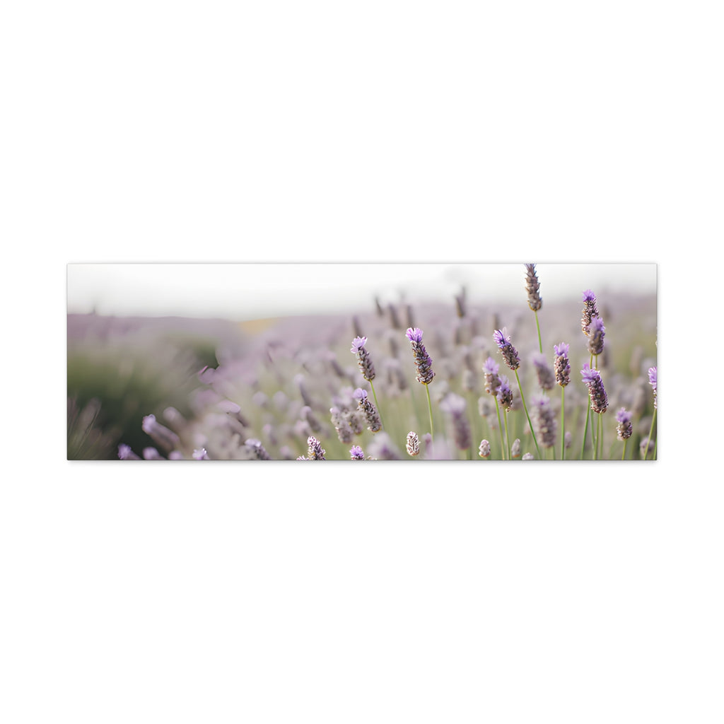 Lavender Field Wall Art – Stretched Canvas