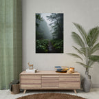 Misty Forest Path  Stretched Wall Art - Poster