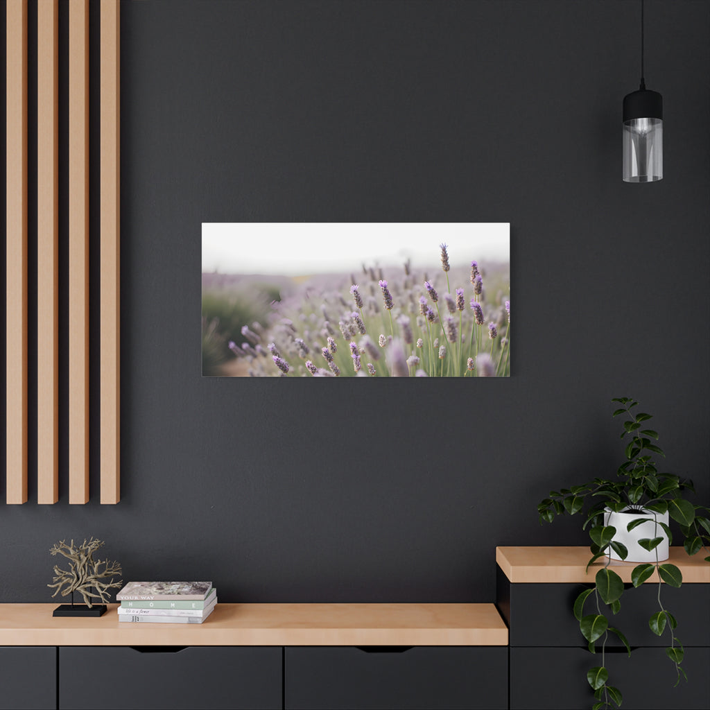 Lavender Field Wall Art – Stretched Canvas