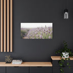 Lavender Field Wall Art – Stretched Canvas