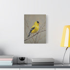 Goldfinch Wall Art Canvas — Yellow Songbird Painting on Branch, Matte Stretched Canvas