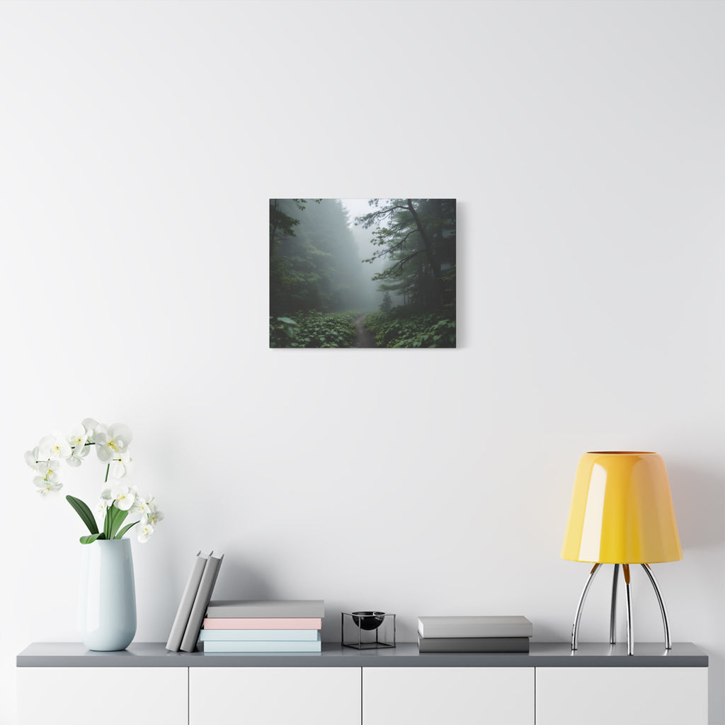 Misty Forest Path  Stretched Wall Art - Canvas Print