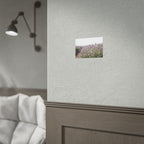 Lavender Field Wall Art – Poster