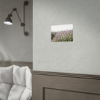 Lavender Field Wall Art – Poster