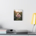 Butterfly on Pink Rose Wall Art - Stretched Canvas