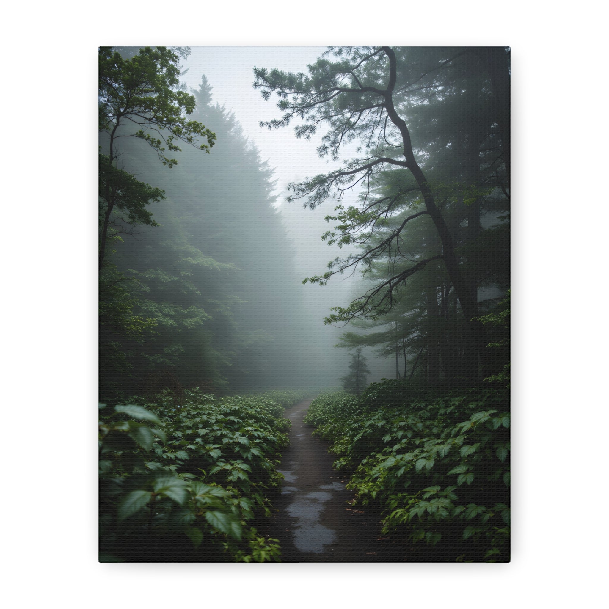Misty Forest Path  Stretched Wall Art - Canvas Print