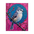 Blue jay on a holly branch Wall Art - Poster