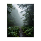 Misty Forest Path  Stretched Wall Art - Poster