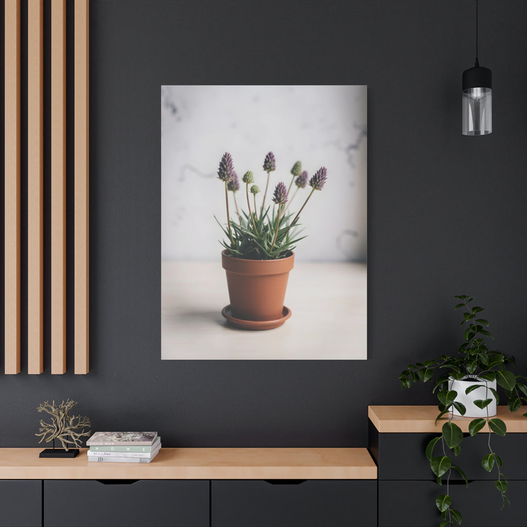 Potted Alpine Dodgegrass Wall Art – Stretched Canvas