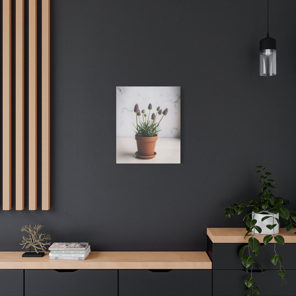 Potted Alpine Dodgegrass Wall Art – Stretched Canvas