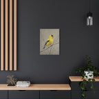 Goldfinch Wall Art Canvas — Yellow Songbird Painting on Branch, Matte Stretched Canvas