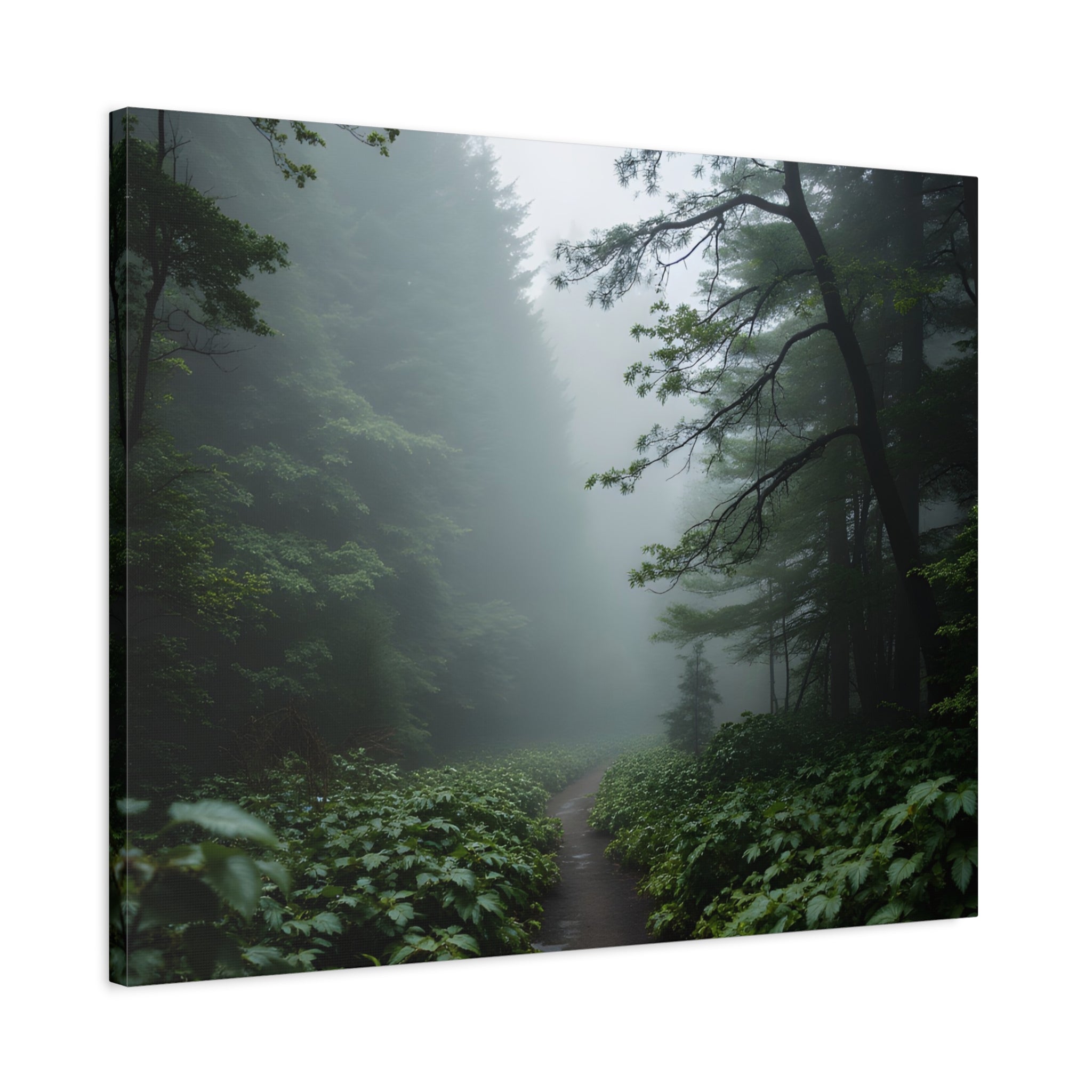 Misty Forest Path  Stretched Wall Art - Canvas Print