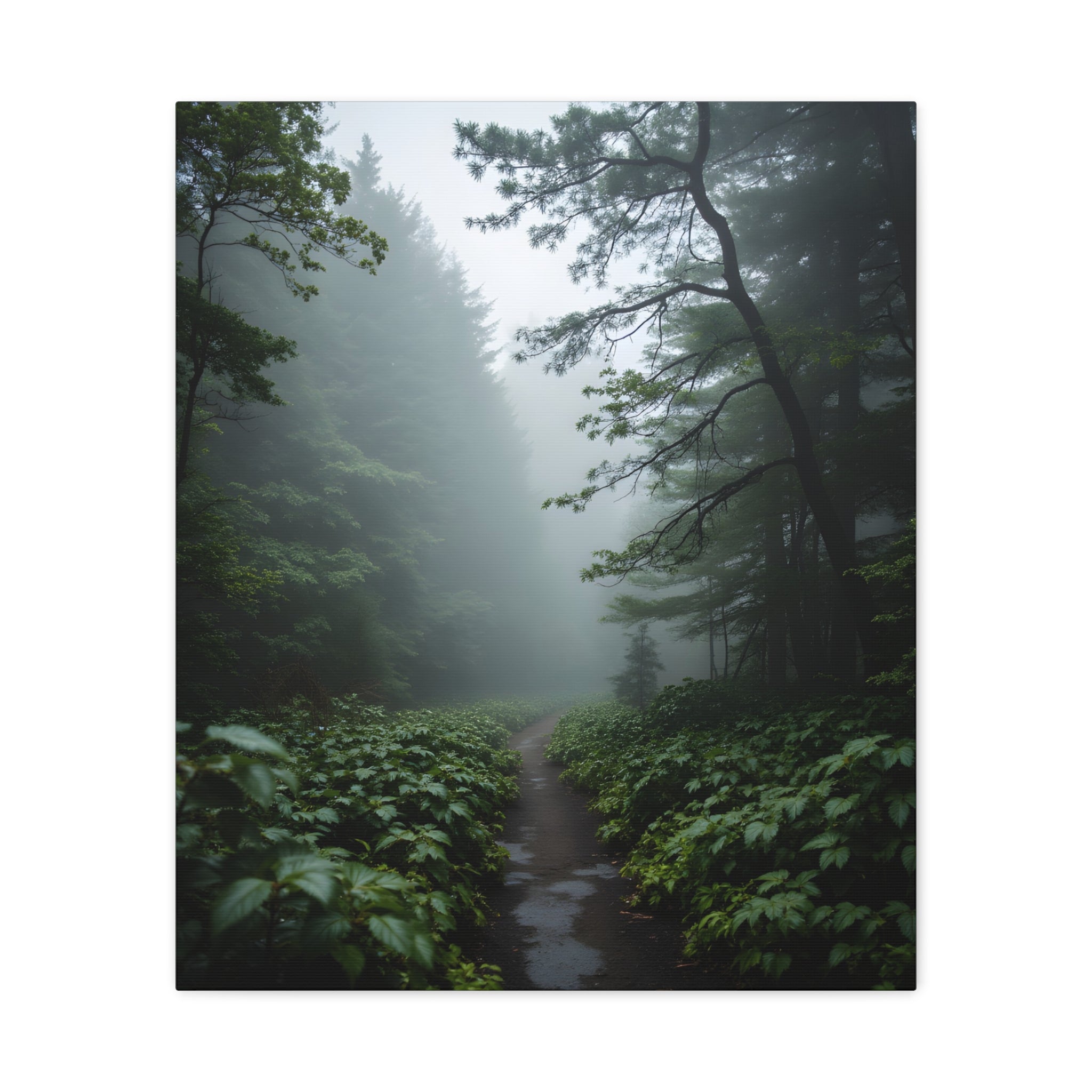 Misty Forest Path  Stretched Wall Art - Canvas Print