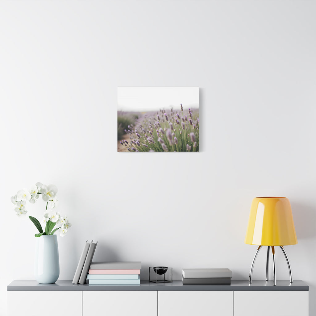 Lavender Field Wall Art – Stretched Canvas