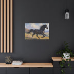 Running Black Stallion Wall Art - Horse Painting - Stretched Canvas