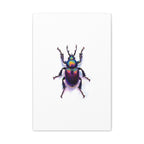 Iridescent Beetle Wall Art – Stretched Canvas
