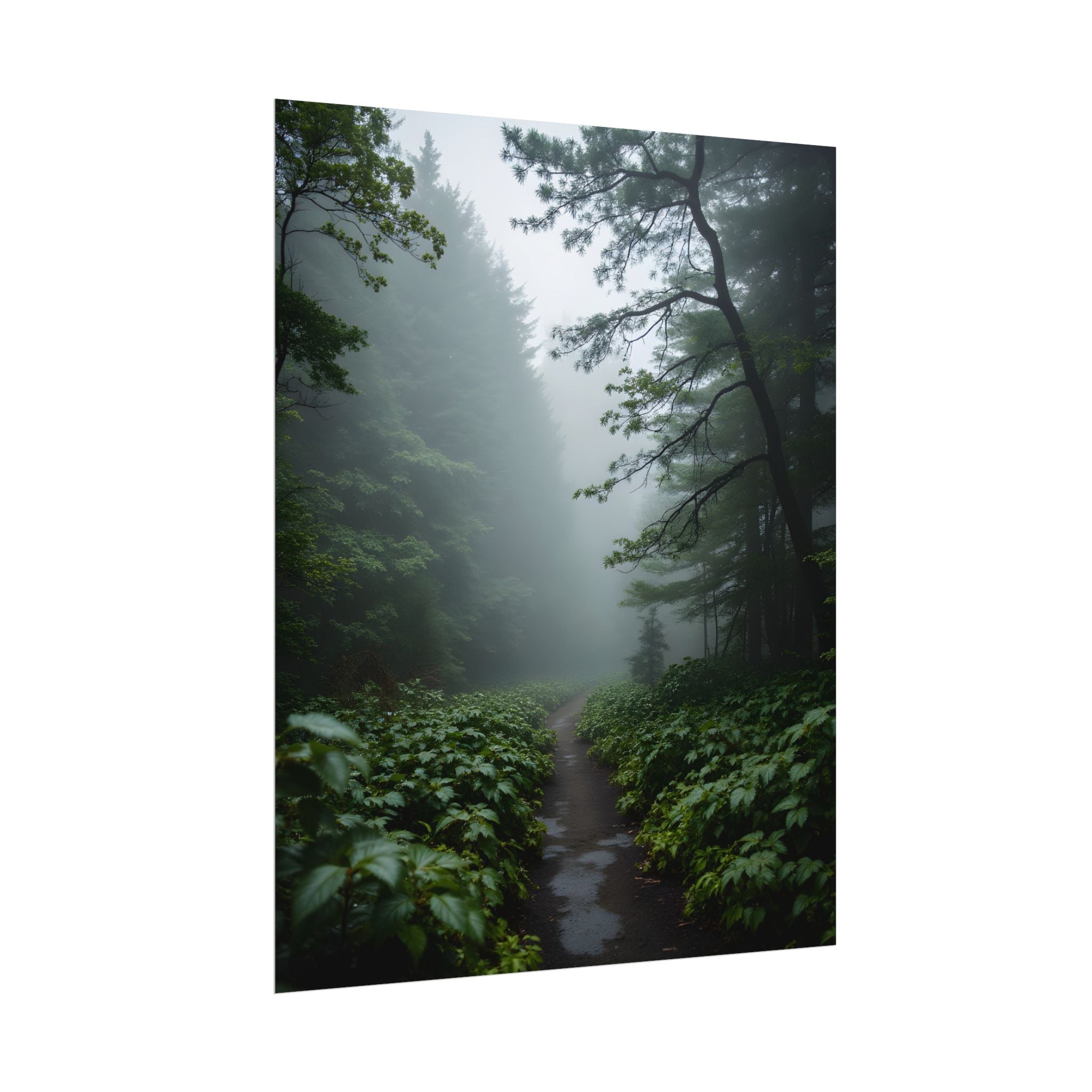 Misty Forest Path  Stretched Wall Art - Poster