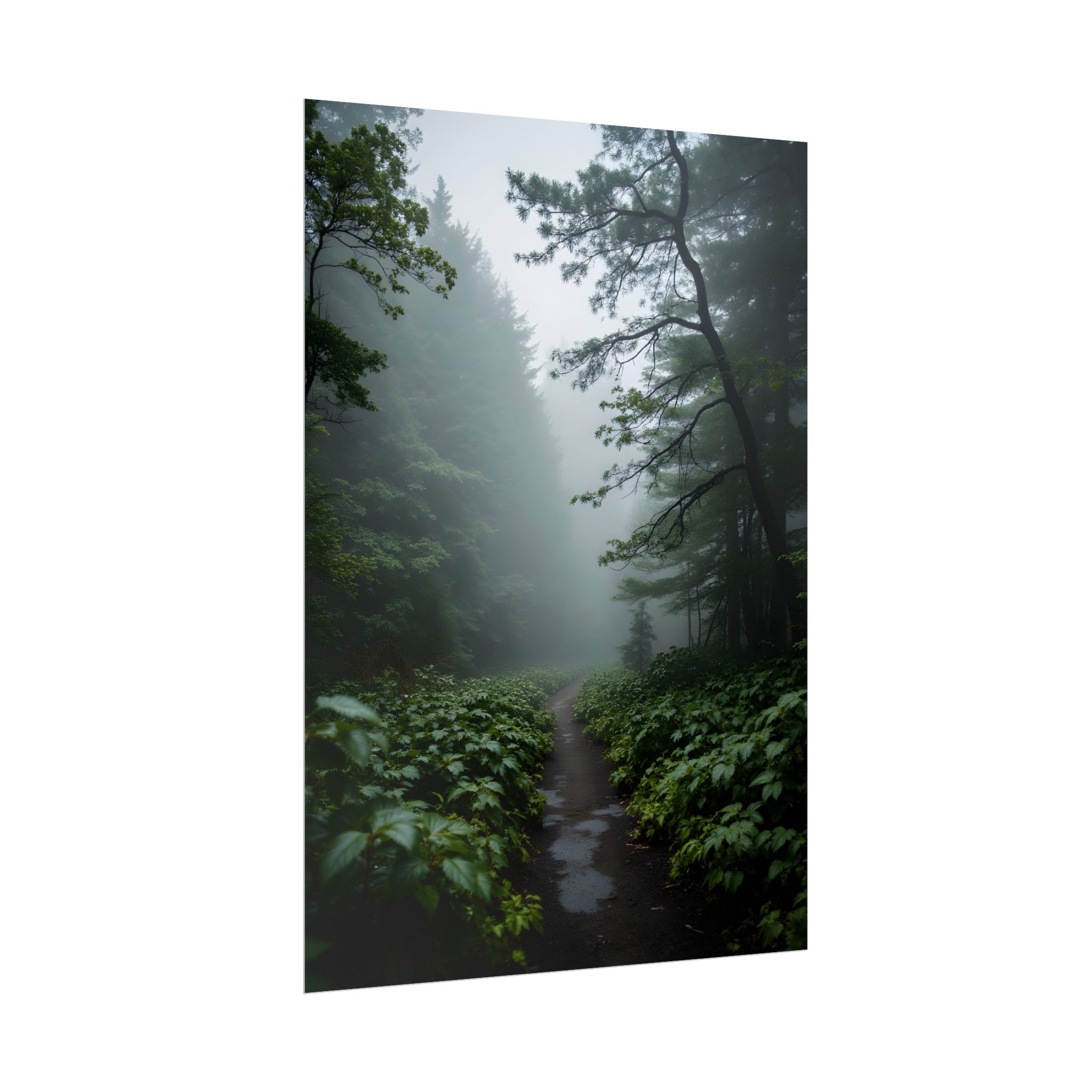 Misty Forest Path  Stretched Wall Art - Poster