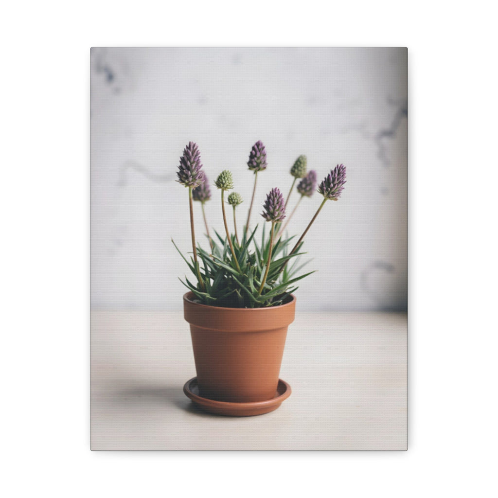 Potted Alpine Dodgegrass Wall Art – Stretched Canvas
