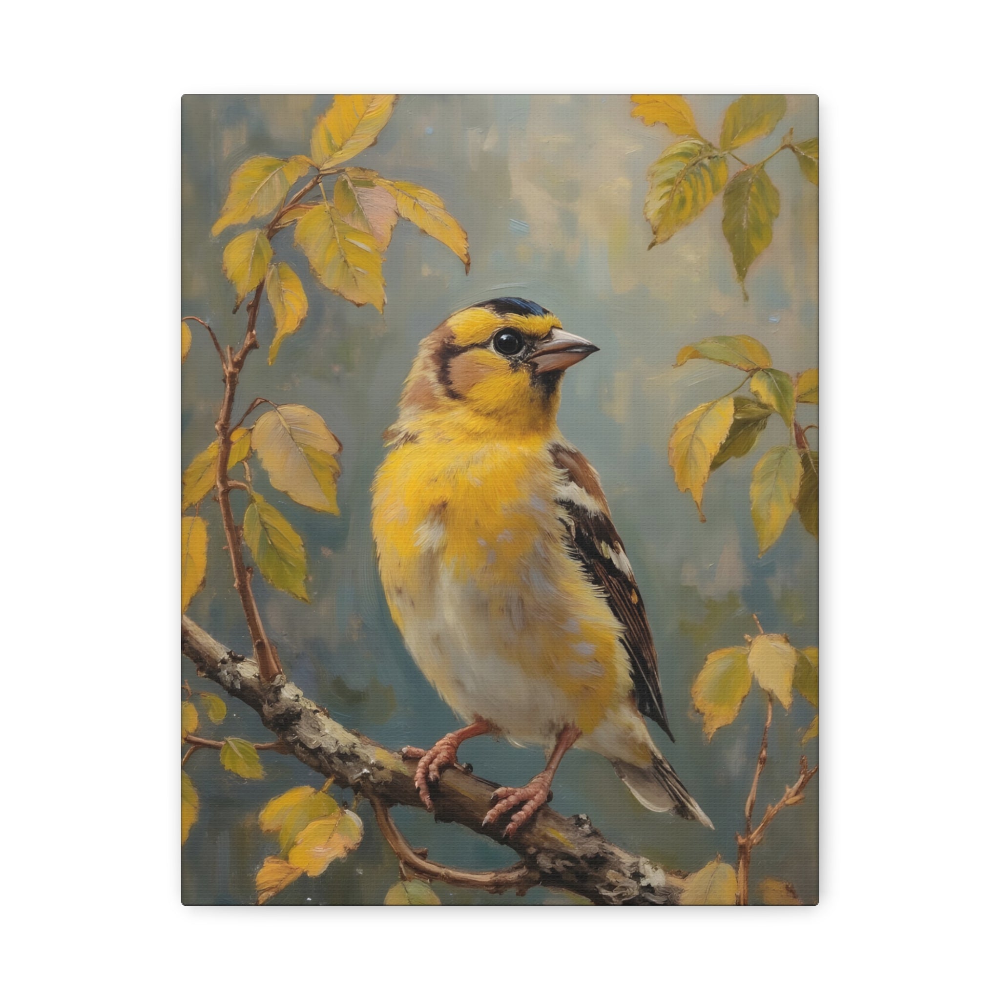 Goldfinch on a branch Wall Art - Stretched Canvas