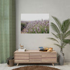 Lavender Field Wall Art – Poster