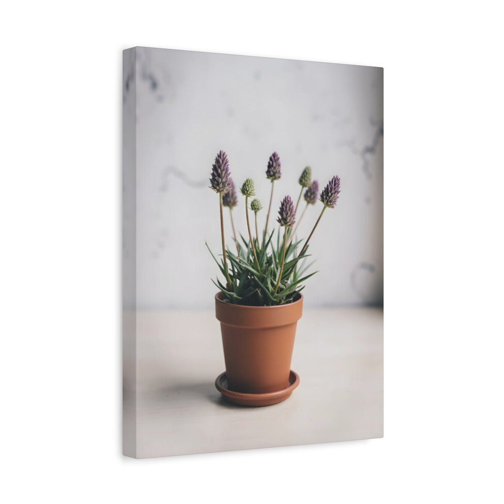 Potted Alpine Dodgegrass Wall Art – Stretched Canvas