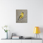 Goldfinch Wall Art Canvas — Yellow Songbird Painting on Branch, Matte Stretched Canvas