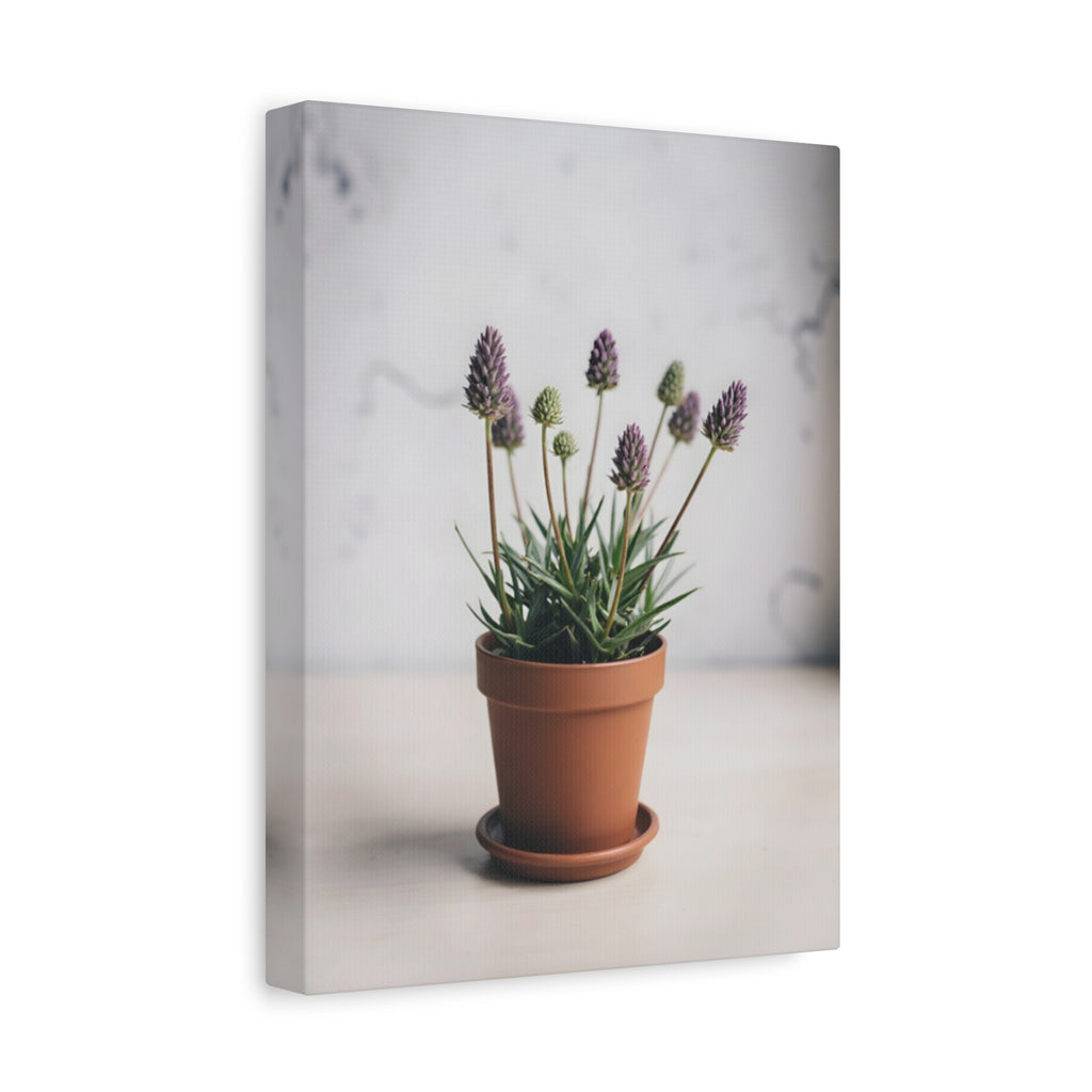 Potted Alpine Dodgegrass Wall Art – Stretched Canvas