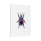 Iridescent Beetle Wall Art – Stretched Canvas