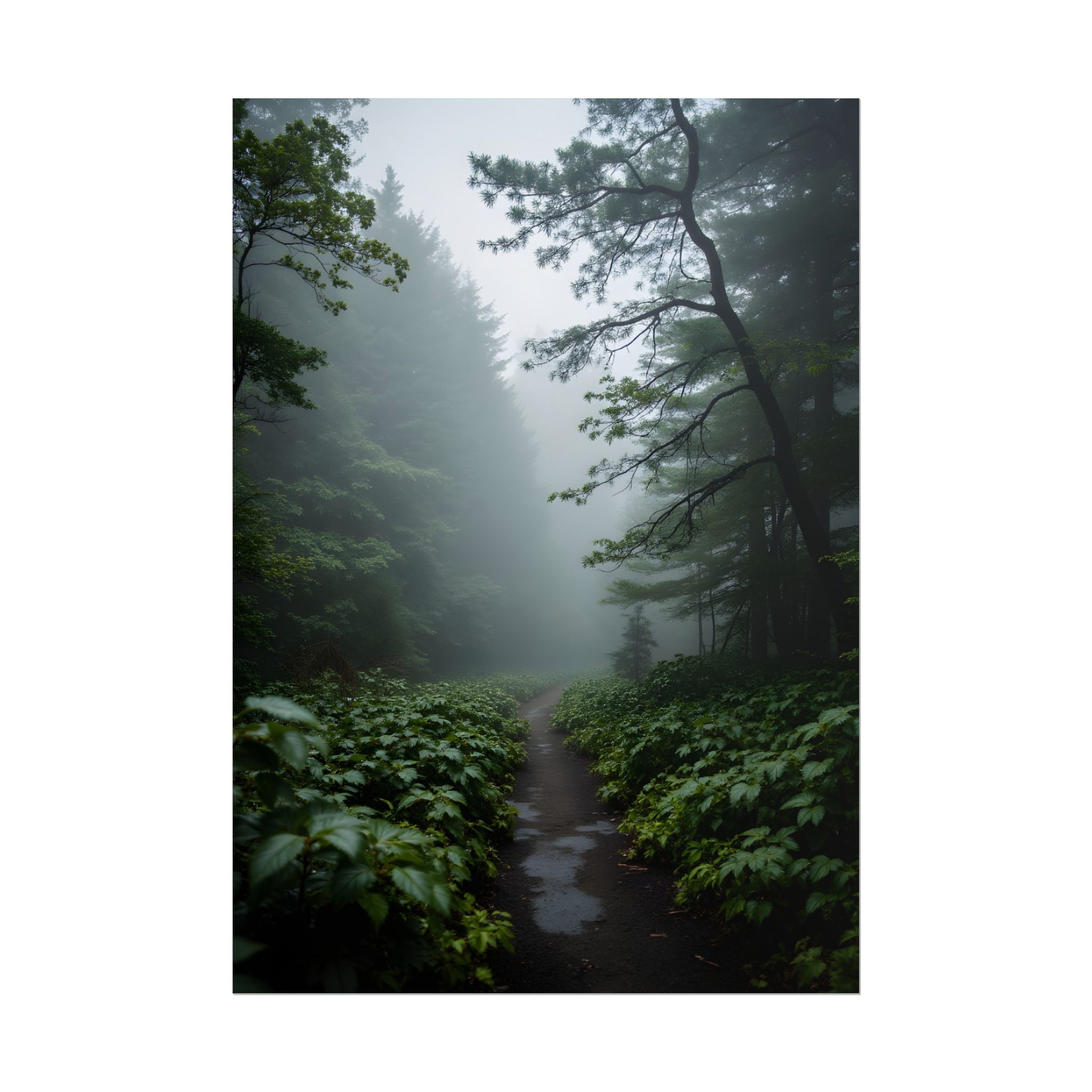 Misty Forest Path  Stretched Wall Art - Poster