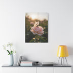 Butterfly on Pink Rose Wall Art - Stretched Canvas