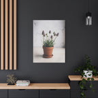 Potted Alpine Dodgegrass Wall Art – Stretched Canvas