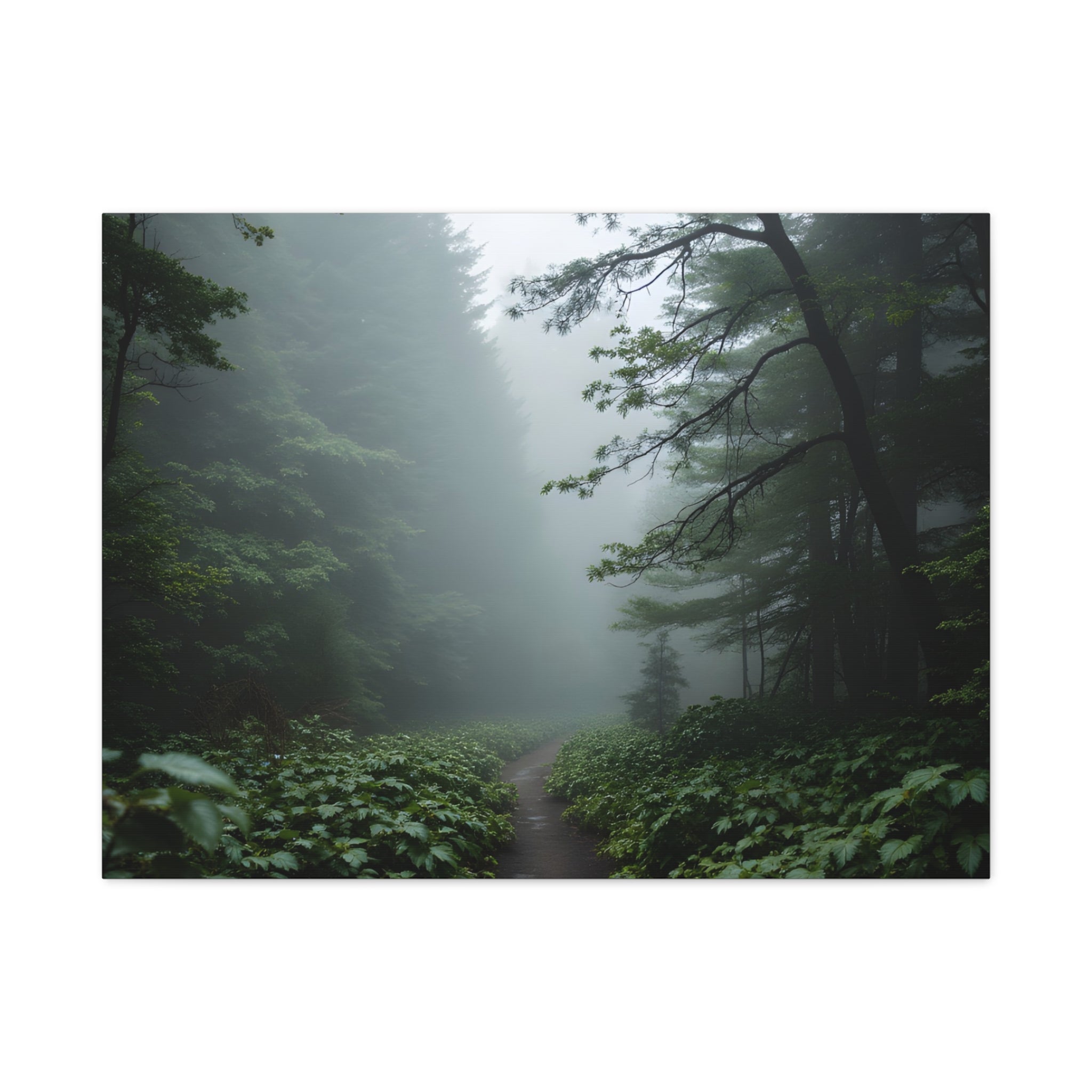 Misty Forest Path  Stretched Wall Art - Canvas Print