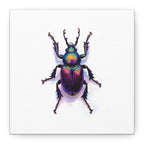 Iridescent Beetle Wall Art – Stretched Canvas
