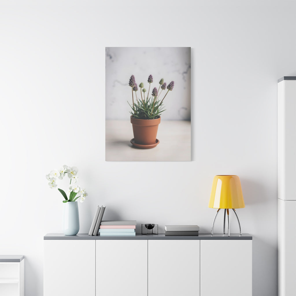 Potted Alpine Dodgegrass Wall Art – Stretched Canvas