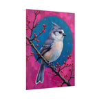 Blue jay on a holly branch Wall Art - Poster