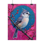 Blue jay on a holly branch Wall Art - Poster
