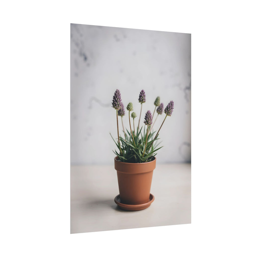 Potted Alpine Dodgegrass Wall Art – Poster