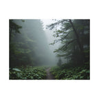 Misty Forest Path  Stretched Wall Art - Canvas Print