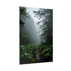 Misty Forest Path  Stretched Wall Art - Poster