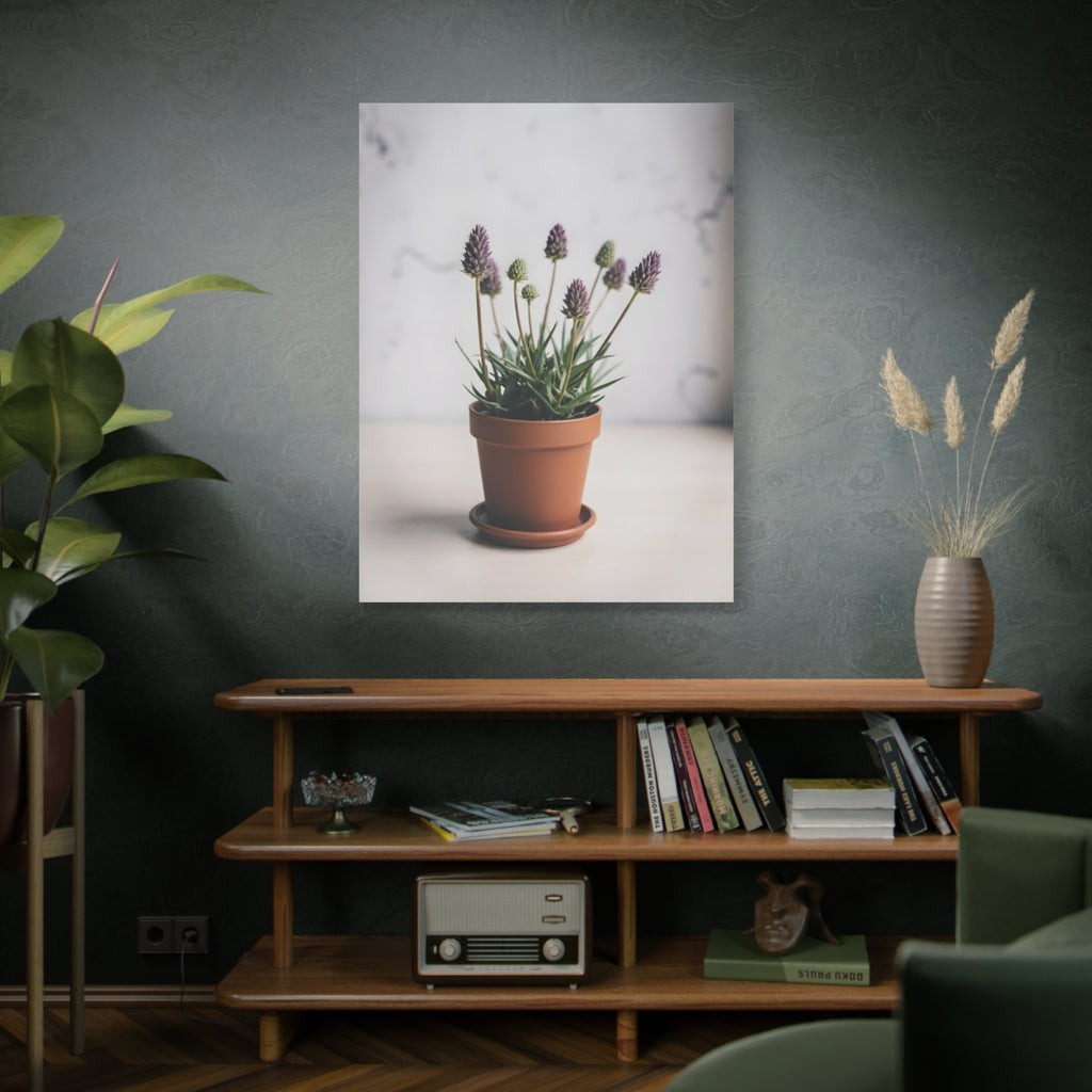 Potted Alpine Dodgegrass Wall Art – Stretched Canvas