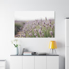Lavender Field Wall Art – Stretched Canvas
