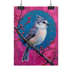 Blue jay on a holly branch Wall Art - Poster