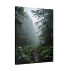 Misty Forest Path  Stretched Wall Art - Canvas Print