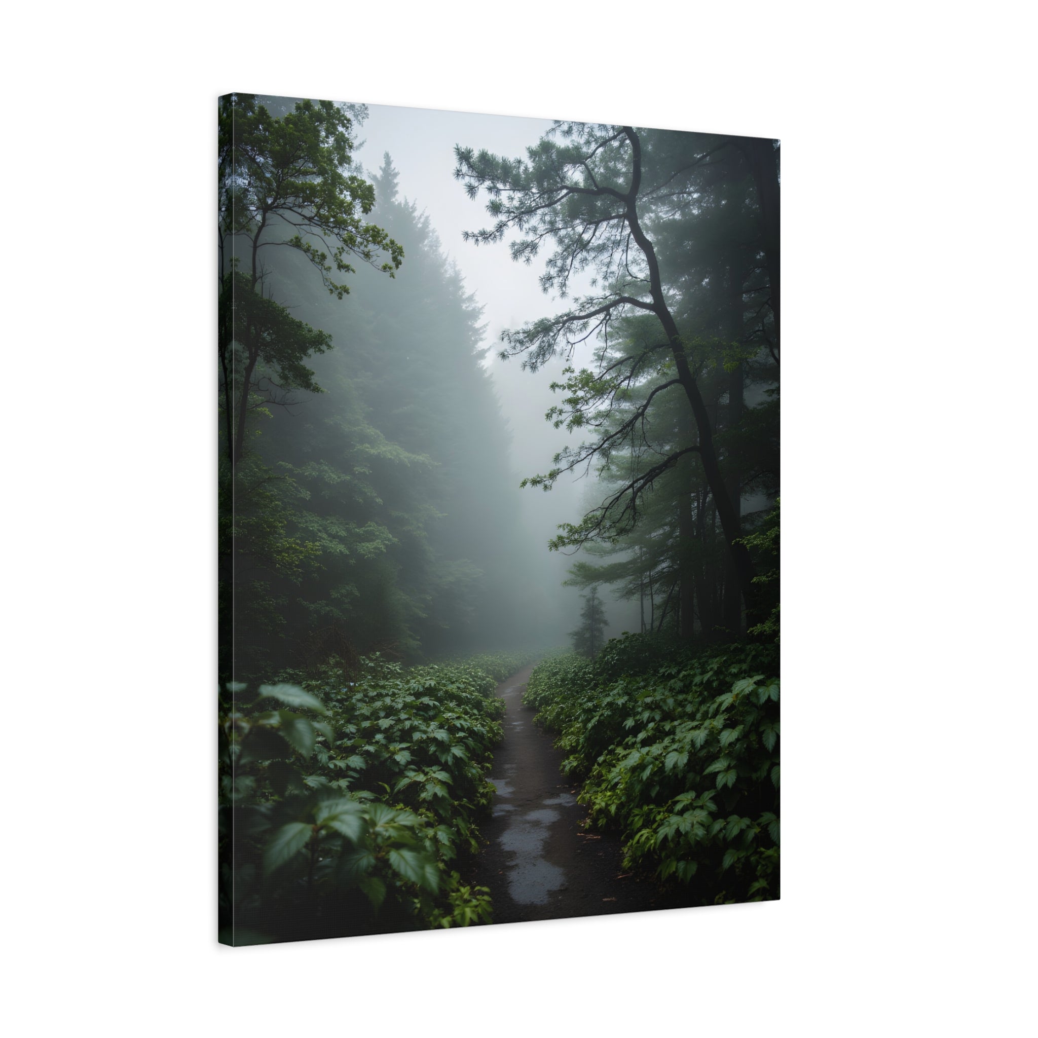 Misty Forest Path  Stretched Wall Art - Canvas Print