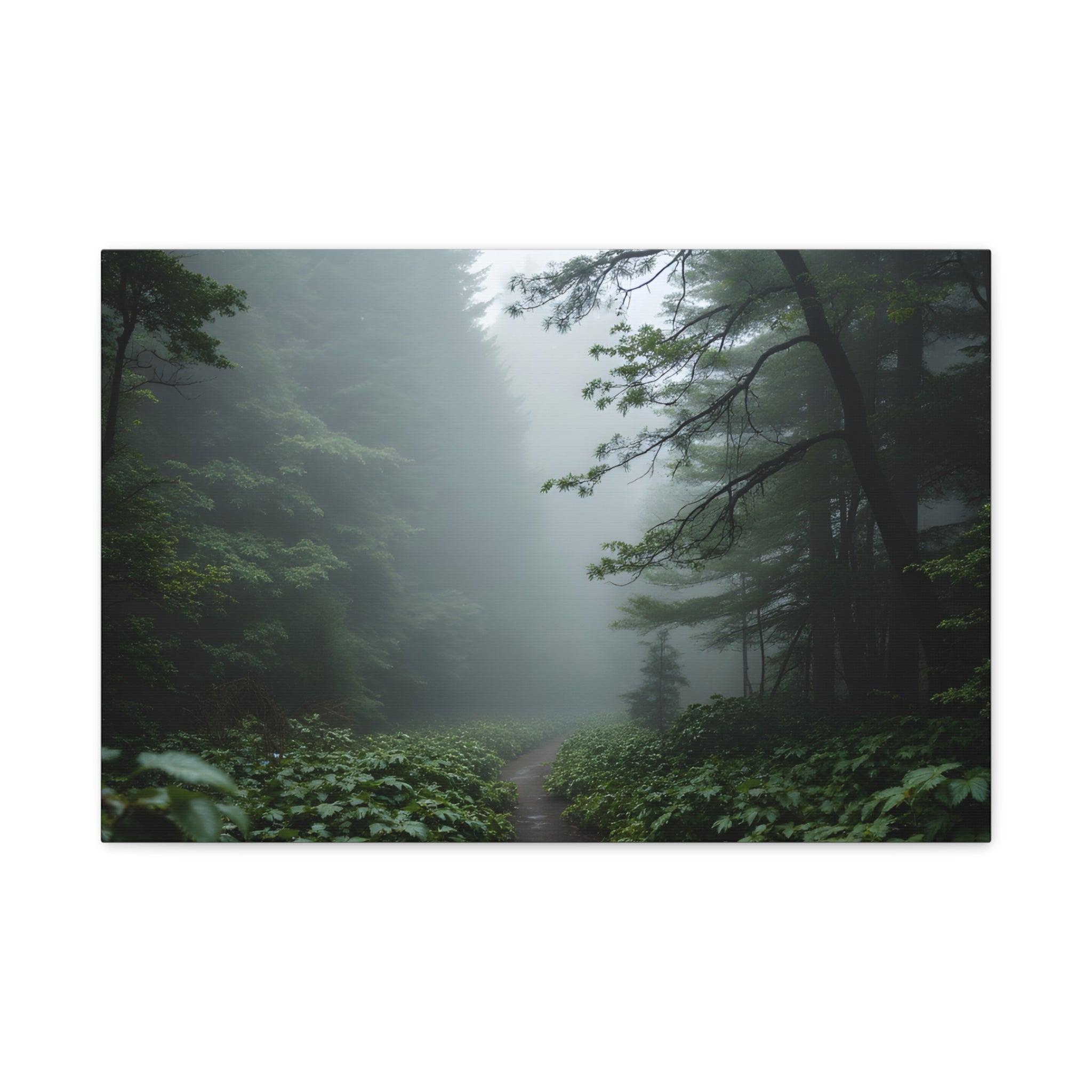 Misty Forest Path  Stretched Wall Art - Canvas Print