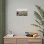 Lavender Field Wall Art – Poster