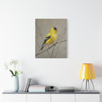 Goldfinch Wall Art Canvas — Yellow Songbird Painting on Branch, Matte Stretched Canvas